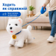 Інтерактивна собака на повідці  Детальніше: https://plushevo.com.ua/ua/p3022406237-interaktivnaya-sobaka-povodke.html