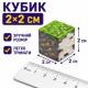 Магнитный конструктор Pixel World 200 деталей в коробке 21 см кубики 2 см в стиле пиксельного мира для детей от 3 лет