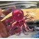 Сквиш Осьминог игрушка антистресс Осьминожка розовый эластичный Octopus с тянущимися щупальцами, игрушка мялка
