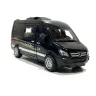 Мікроавтобус TK Group Mercedes-Benz Sprinter 14см інерція/звук/світло/відчиняються двері 1:32