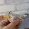 Фігурки тварин ToyCloud Лисиці, 4 штуки KZ956-014F