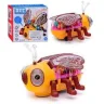 Музична бджілка A-Toys музична, корпус з підсвічуванням 5938B