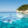 Акула на пульті Shark