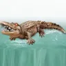 Крокодил на радіокеруванні плаваючий у воді, робот-алігатор на акумуляторі 2.4 GHz зі очима, що світяться.