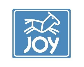 Joy